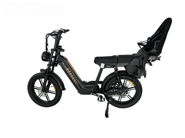 D50 Family Bike met achterzitje