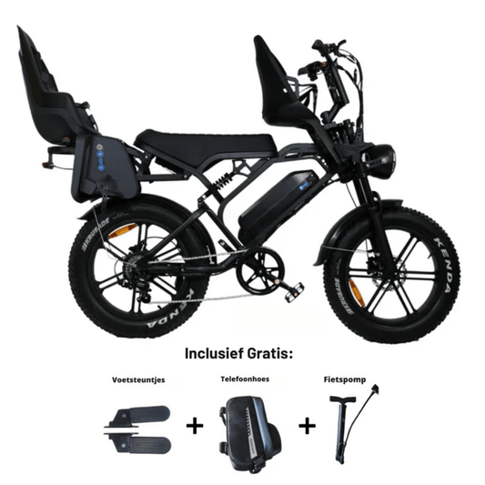 V20 Familie Fatbike