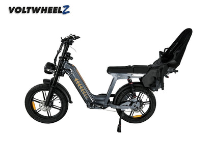 D50 Family Bike met achterzitje