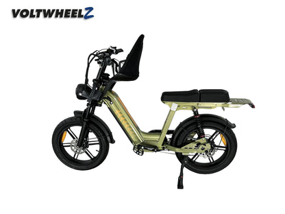 D50 Family Bike met voorzitje