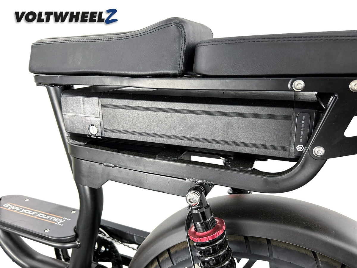 V20 Comfort Family Bike met achterzitje