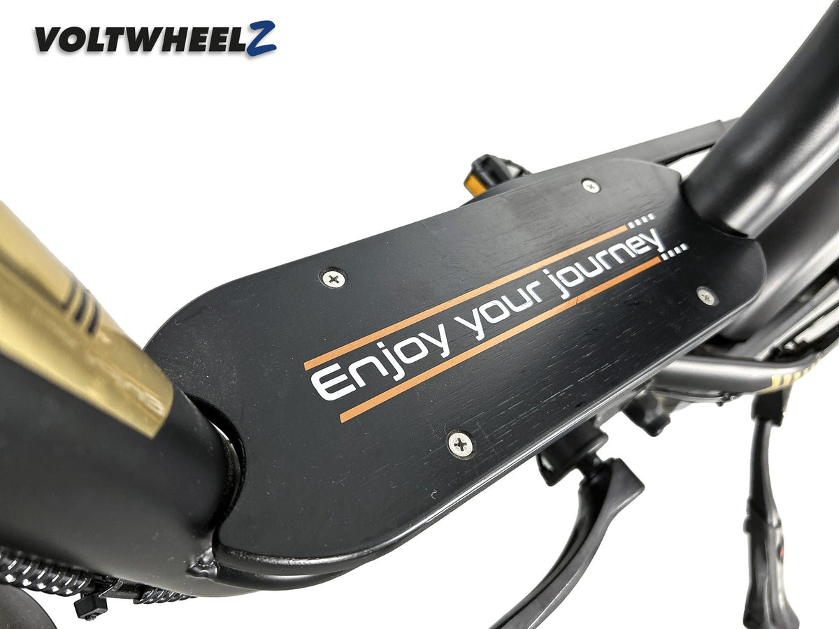 V20 Comfort Family Bike met achterzitje