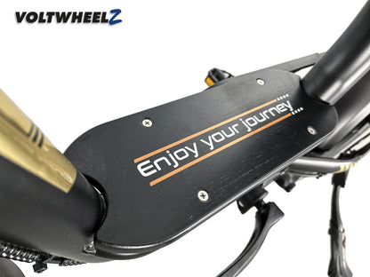 V20 Comfort Family Bike voor en achterzitje