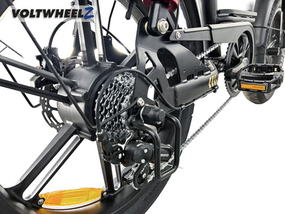 V20 Comfort Family Bike voor en achterzitje