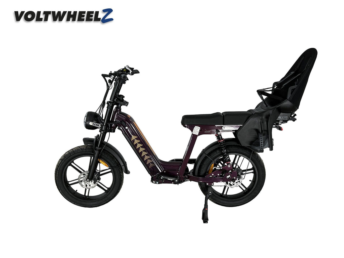 D50 Family Bike met achterzitje