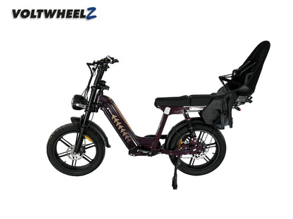 D50 Family Bike met achterzitje