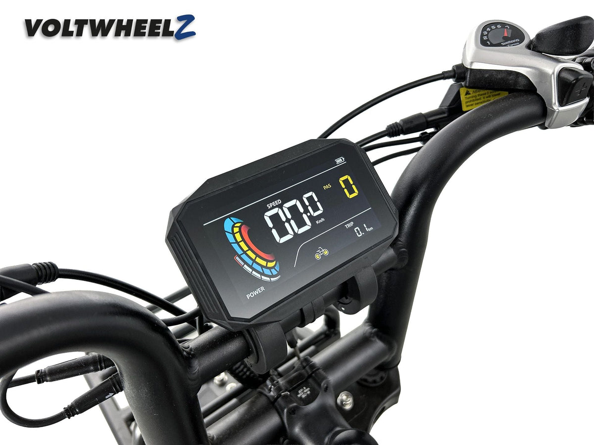 V20 Comfort Family Bike voor en achterzitje